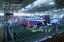     IFSC Moscow  2018 7
