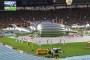   IAAF    2013 8