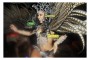 Brazilian Tropicana Carnaval  Show 8