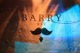 Открытие Barry Bar. 1