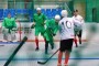 Чемпионат Москвы по бол-хоккею 2