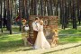 Свадьба в Парке Дракино 1